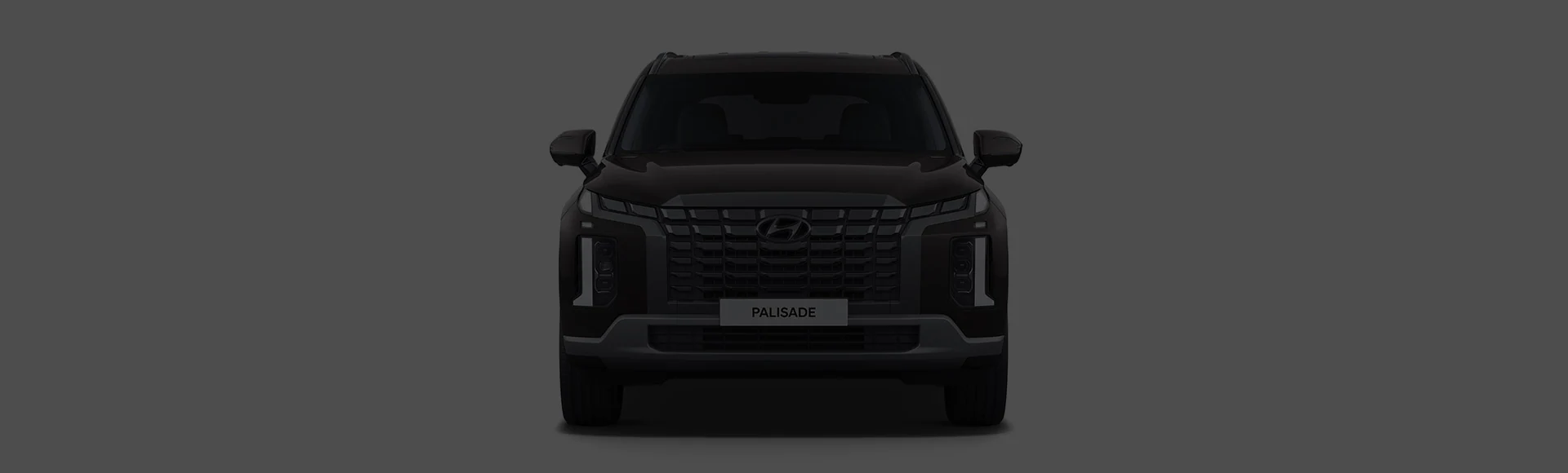 Palisade front design